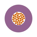 4510071.jpg