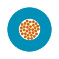4510021.jpg